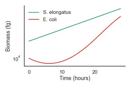 _images/total_biomass_vs_time.png